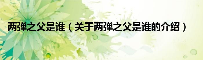 两弹之父是谁（关于两弹之父是谁的介绍）