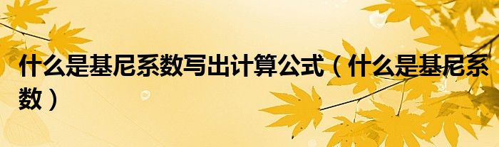 什么是基尼系数写出计算公式（什么是基尼系数）