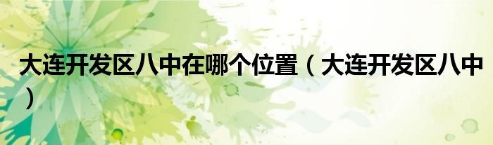 大连开发区八中在哪个位置（大连开发区八中）