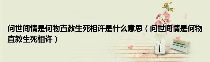 问世间情是何物直教生死相许是什么意思（问世间情是何物直教生死相许）