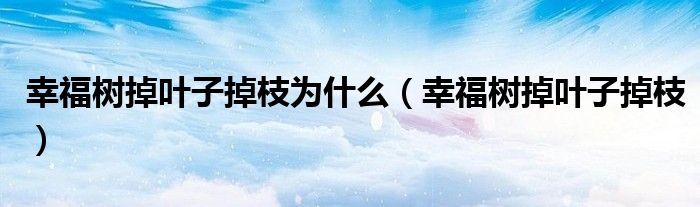 幸福树掉叶子掉枝为什么（幸福树掉叶子掉枝）