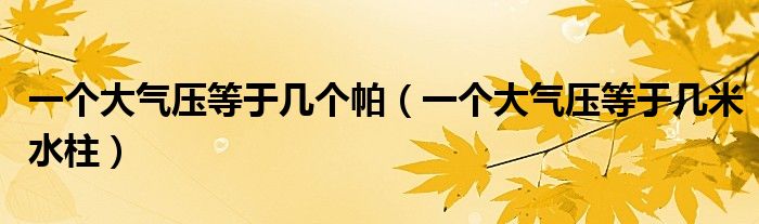 一个大气压等于几个帕（一个大气压等于几米水柱）