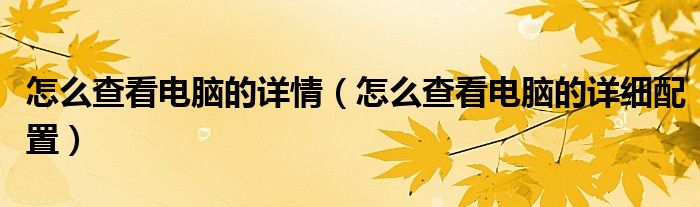 怎么查看电脑的详情（怎么查看电脑的详细配置）