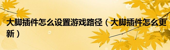大脚插件怎么设置游戏路径（大脚插件怎么更新）