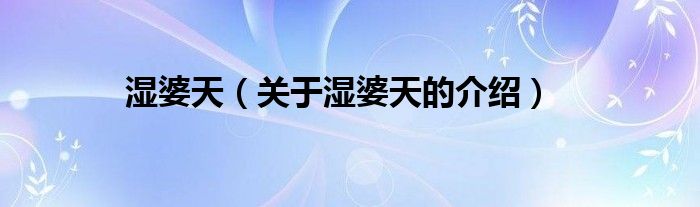 湿婆天（关于湿婆天的介绍）