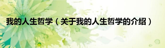 我的人生哲学（关于我的人生哲学的介绍）