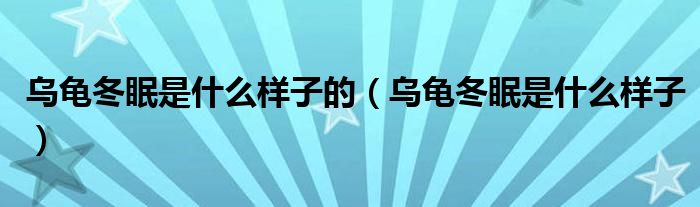 乌龟冬眠是什么样子的（乌龟冬眠是什么样子）