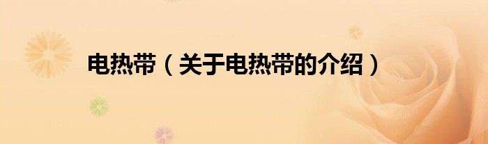 电热带（关于电热带的介绍）