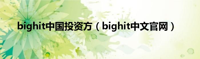 bighit中国投资方（bighit中文官网）