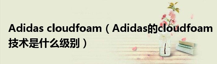 Adidas cloudfoam（Adidas的cloudfoam技术是什么级别）