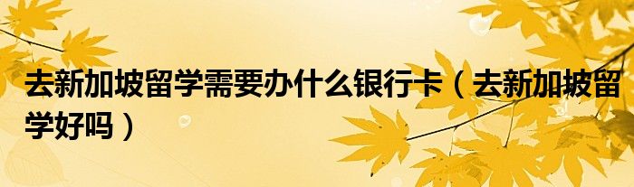 去新加坡留学需要办什么银行卡（去新加坡留学好吗）