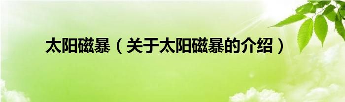 太阳磁暴（关于太阳磁暴的介绍）