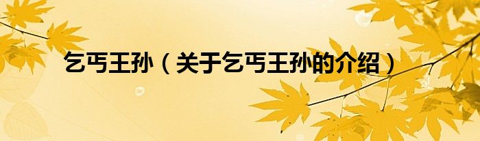 乞丐王孙（关于乞丐王孙的介绍）