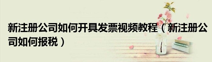 新注册公司如何开具发票视频教程（新注册公司如何报税）
