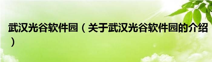 武汉光谷软件园（关于武汉光谷软件园的介绍）