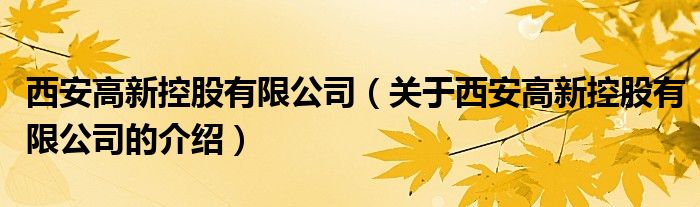 西安高新控股有限公司（关于西安高新控股有限公司的介绍）