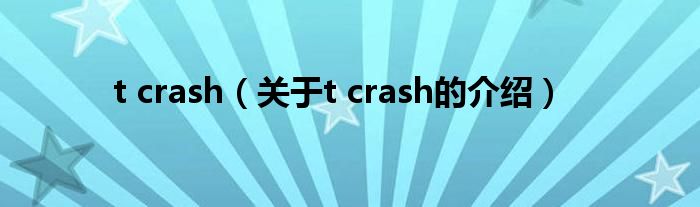t crash（关于t crash的介绍）