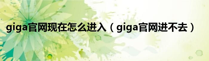 giga官网现在怎么进入（giga官网进不去）