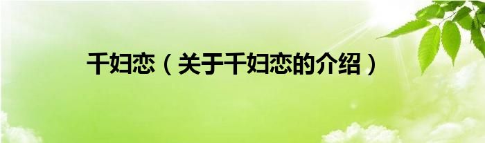 千妇恋（关于千妇恋的介绍）