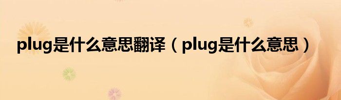 plug是什么意思翻译（plug是什么意思）