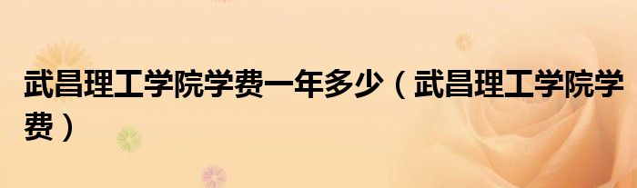 武昌理工学院学费一年多少（武昌理工学院学费）