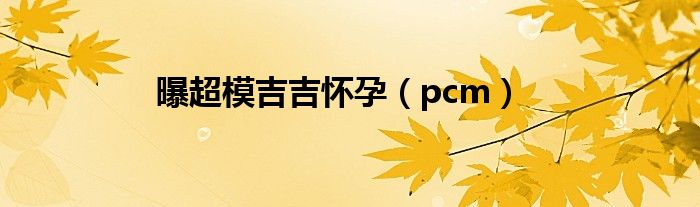 曝超模吉吉怀孕（pcm）