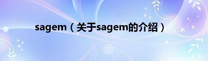 sagem（关于sagem的介绍）