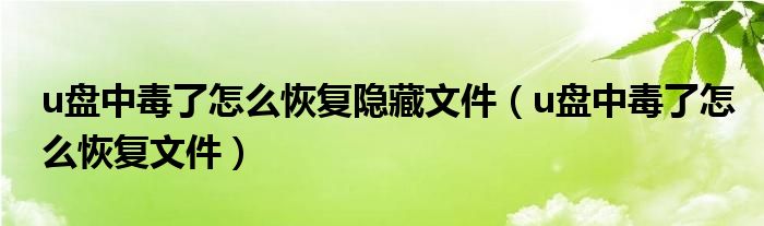 u盘中毒了怎么恢复隐藏文件（u盘中毒了怎么恢复文件）