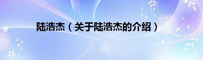 陆浩杰（关于陆浩杰的介绍）