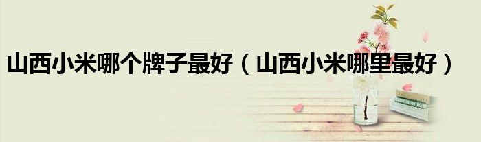 山西小米哪个牌子最好（山西小米哪里最好）