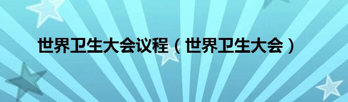 世界卫生大会议程（世界卫生大会）