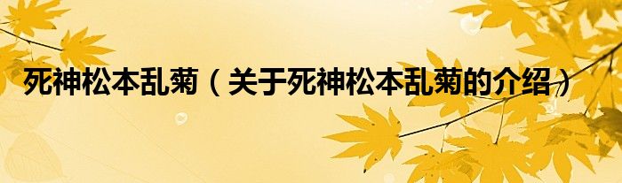 死神松本乱菊（关于死神松本乱菊的介绍）