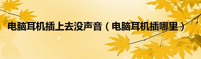 电脑耳机插上去没声音（电脑耳机插哪里）