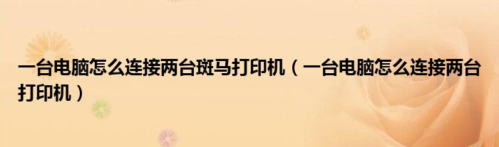 一台电脑怎么连接两台斑马打印机（一台电脑怎么连接两台打印机）