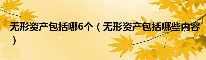 无形资产包括哪6个（无形资产包括哪些内容）
