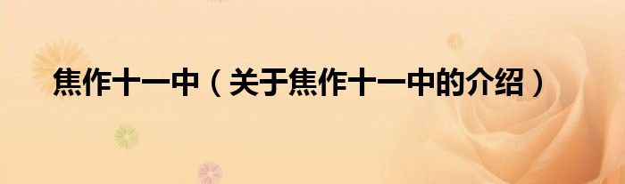 焦作十一中（关于焦作十一中的介绍）