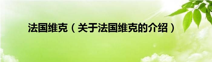 法国维克（关于法国维克的介绍）