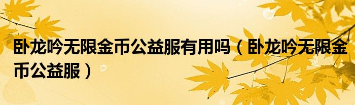 卧龙吟无限金币公益服有用吗（卧龙吟无限金币公益服）