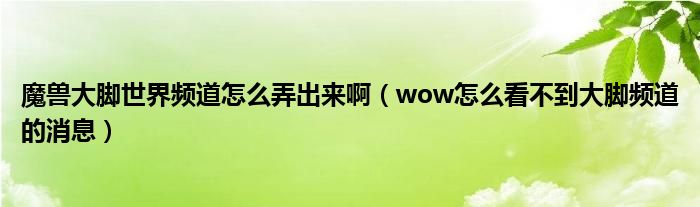 魔兽大脚世界频道怎么弄出来啊（wow怎么看不到大脚频道的消息）