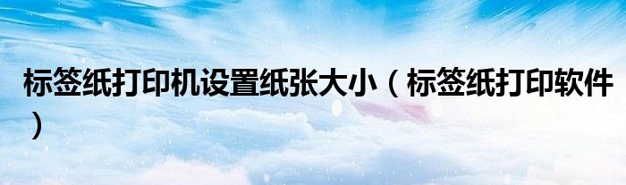 标签纸打印机设置纸张大小（标签纸打印软件）