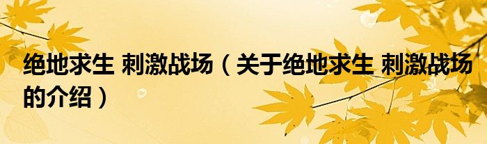 绝地求生 刺激战场（关于绝地求生 刺激战场的介绍）