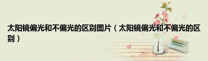太阳镜偏光和不偏光的区别图片（太阳镜偏光和不偏光的区别）