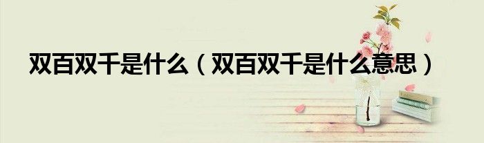 双百双千是什么（双百双千是什么意思）
