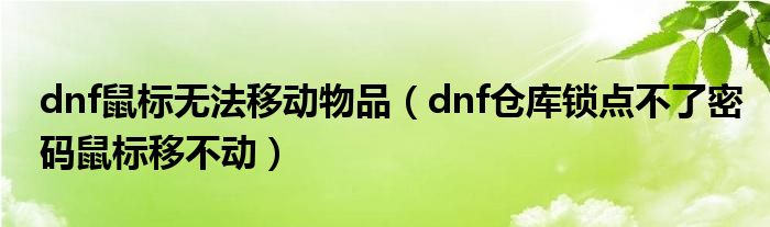 dnf鼠标无法移动物品（dnf仓库锁点不了密码鼠标移不动）