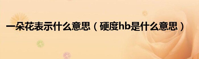 一朵花表示什么意思（硬度hb是什么意思）