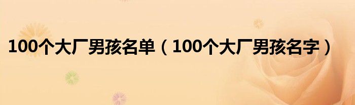 100个大厂男孩名单（100个大厂男孩名字）