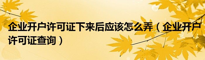 企业开户许可证下来后应该怎么弄（企业开户许可证查询）