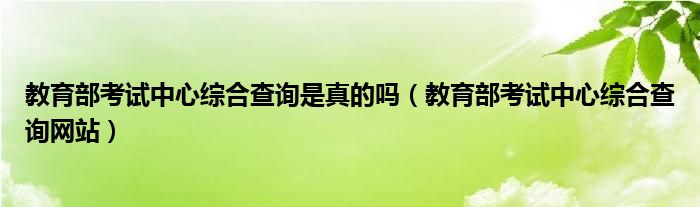 教育部考试中心综合查询是真的吗（教育部考试中心综合查询网站）