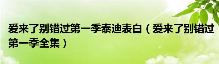 爱来了别错过第一季泰迪表白（爱来了别错过第一季全集）