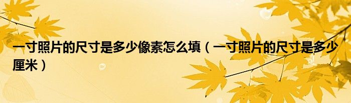 一寸照片的尺寸是多少像素怎么填（一寸照片的尺寸是多少厘米）